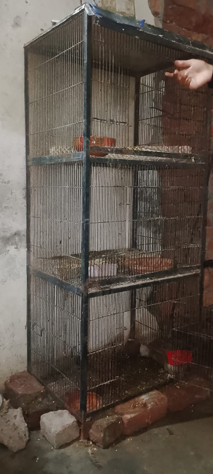 3 portion hard wire cage