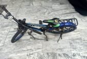Cycle