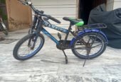 Cycle