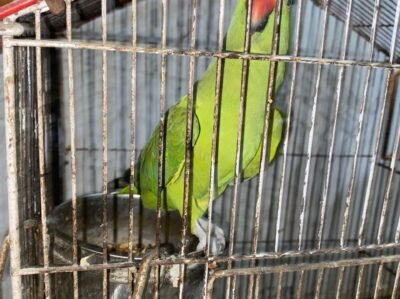 IMG-20260801-WA0047