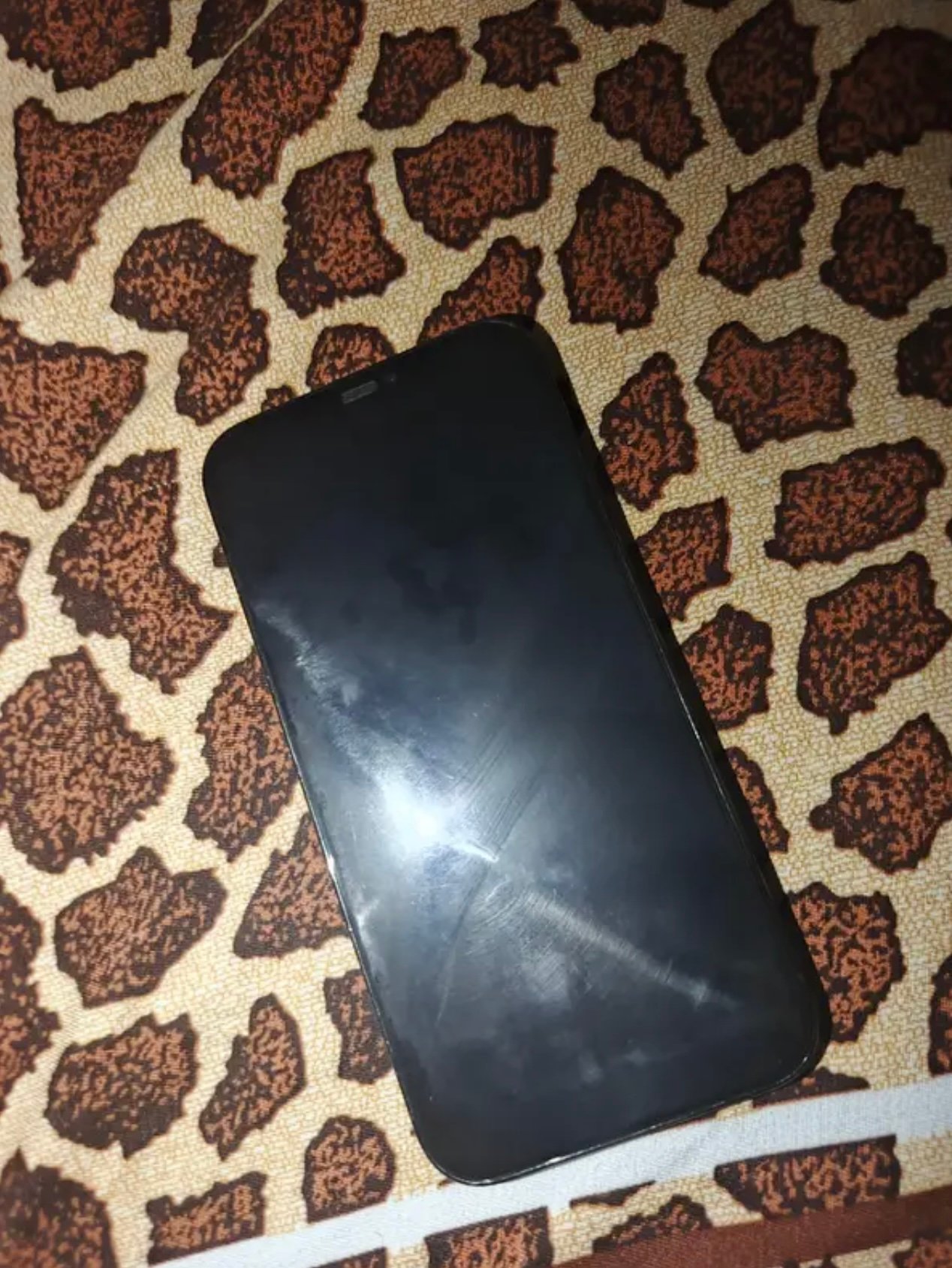 iPhone 12 Pro Max