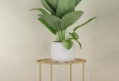 Modern Iron Plant Stand Black Golden Indoor Outdoor