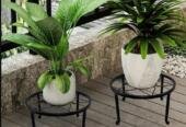 Modern Iron Plant Stand Black Golden Indoor Outdoor