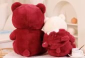 Hoddy Teddy bear