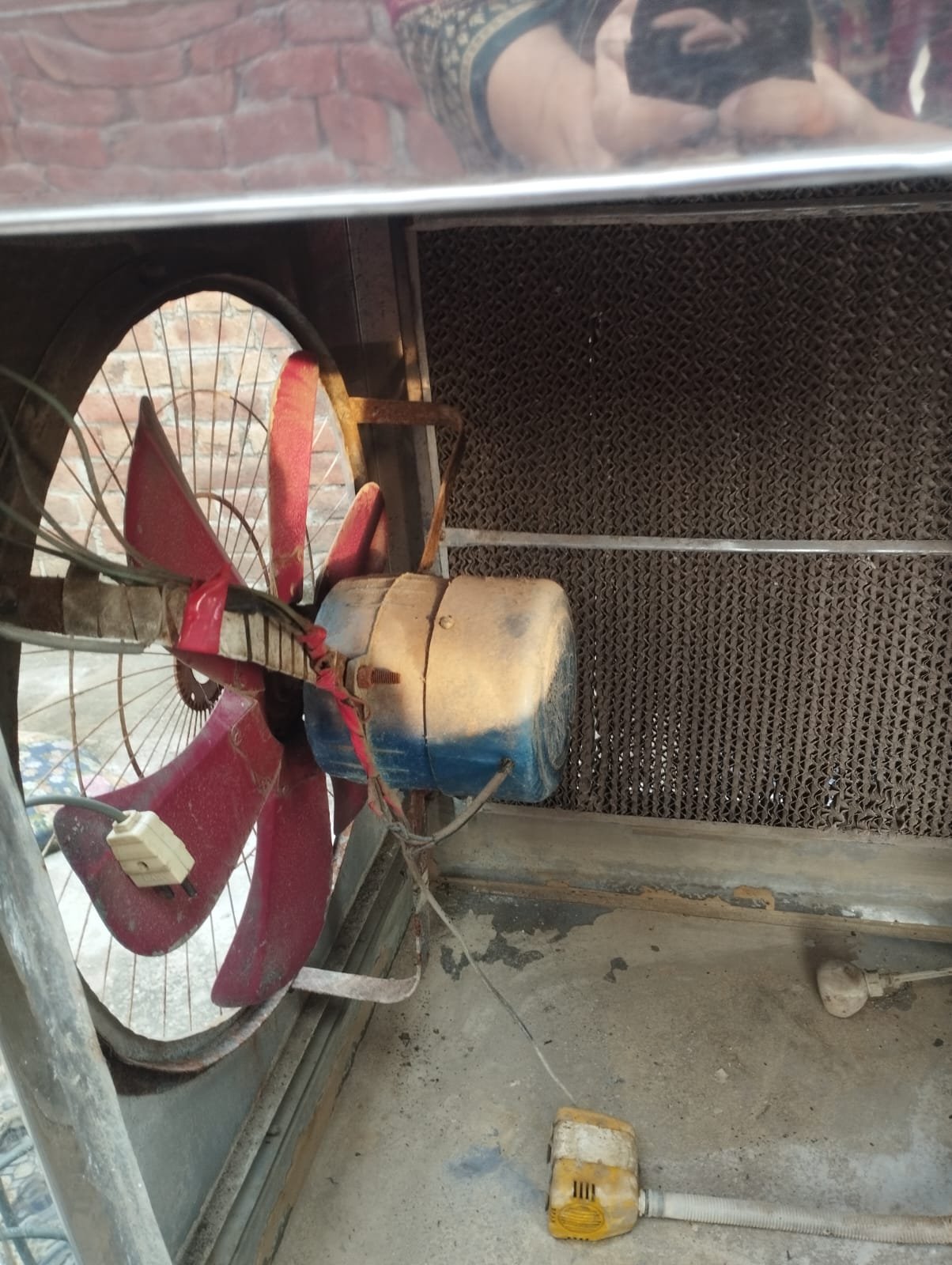 Air cooler