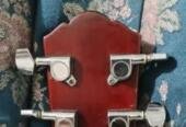 Acoustic Guitar