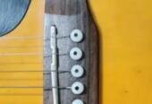 Acoustic Guitar