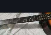 Acoustic Guitar