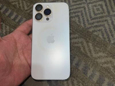 1000225981