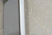 Apple 17 pro max