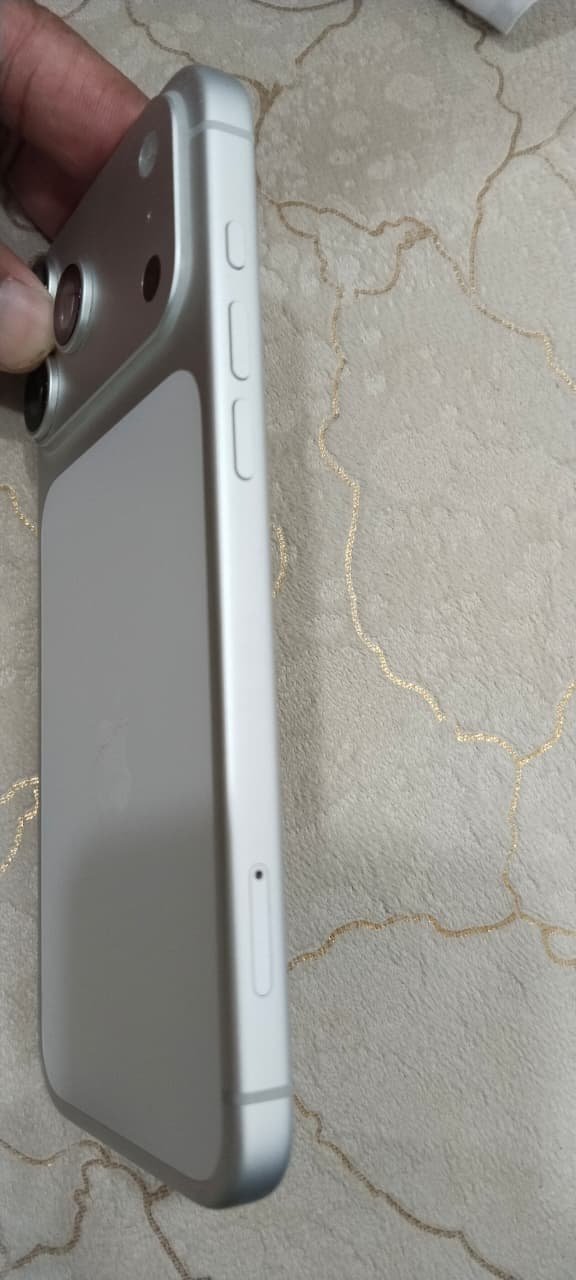 Apple 17 pro max