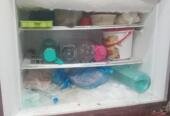 Pel fridge, gass dalne wali hai