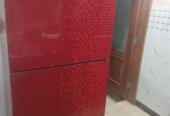 Pel fridge, gass dalne wali hai