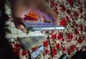 Tecno spark 40 pro plus