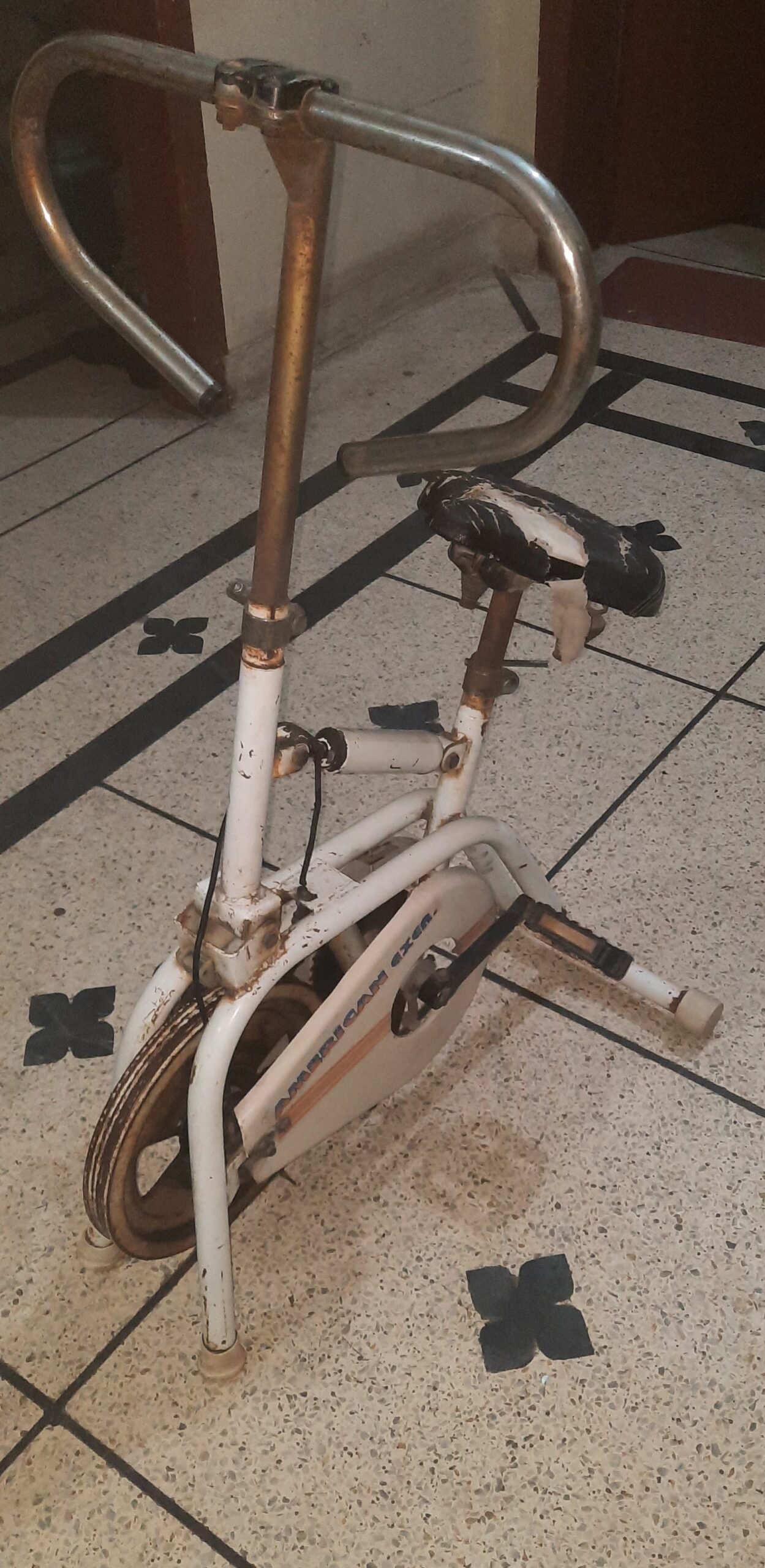 Elipticle exercise machine Exercise