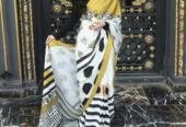 LULUSAR saree fused