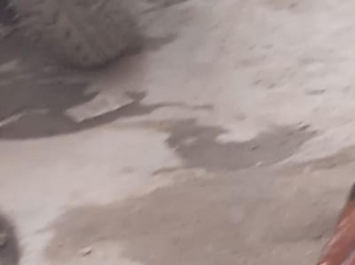 IMG-20260907-WA0004