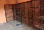 Premium Quality Cages for Birds