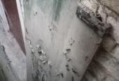 Shop glass door