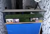 Mobile Shop Counter For Sale