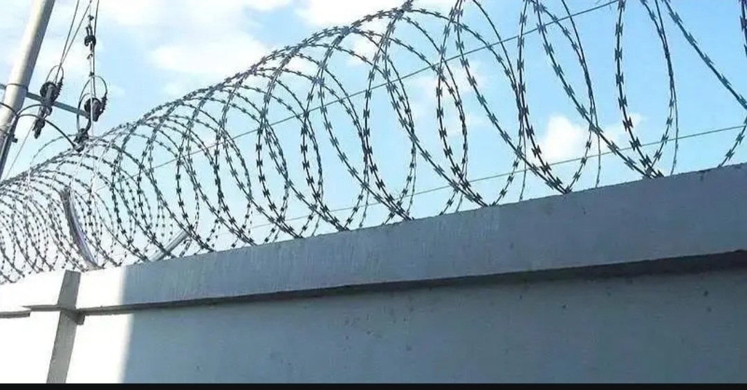 Razor wire/Barbed wire mesh/Chain link fence/Powder coating