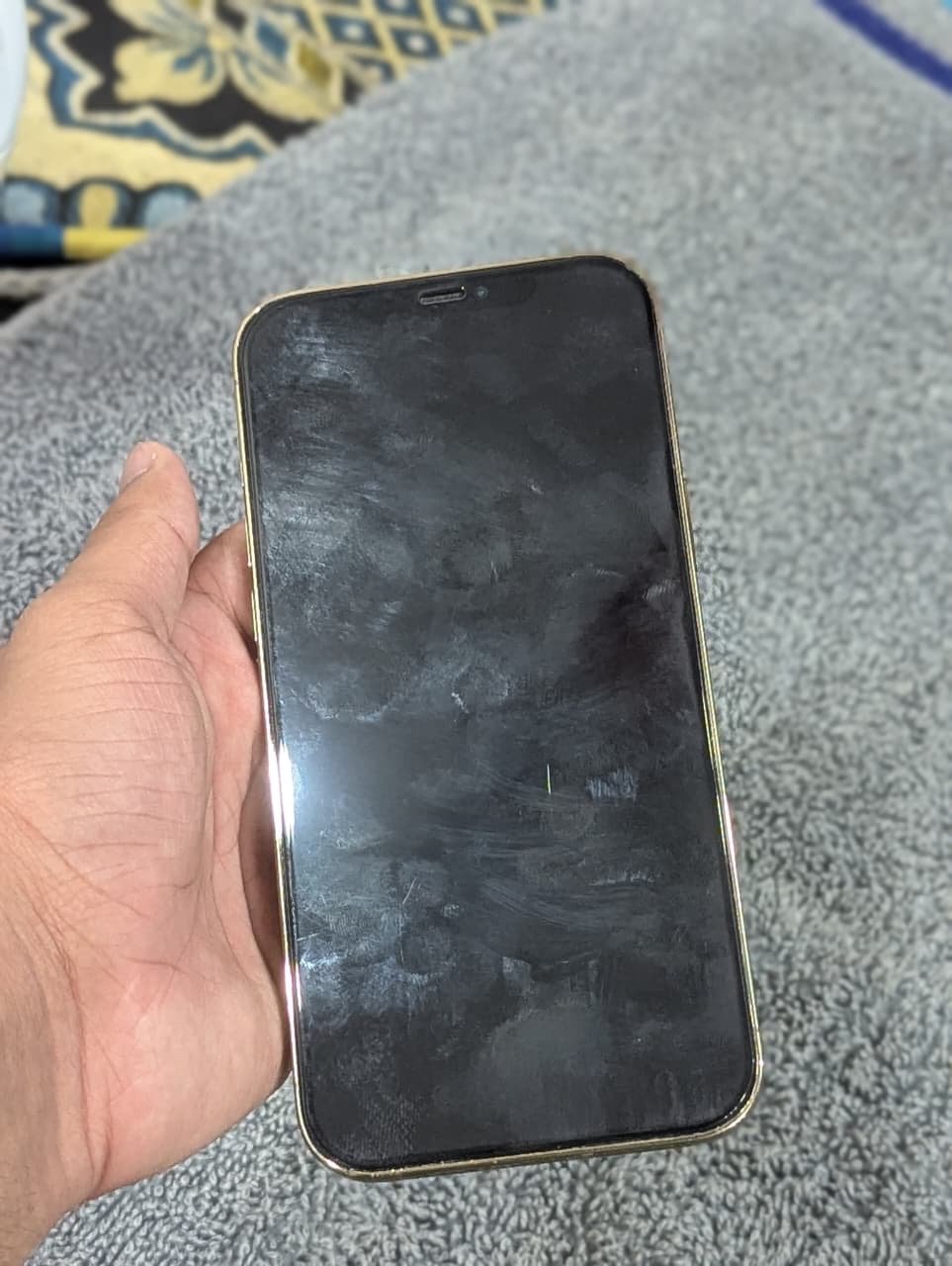 iphone 12 pro max pta approved