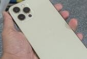 iphone 12 pro max pta approved