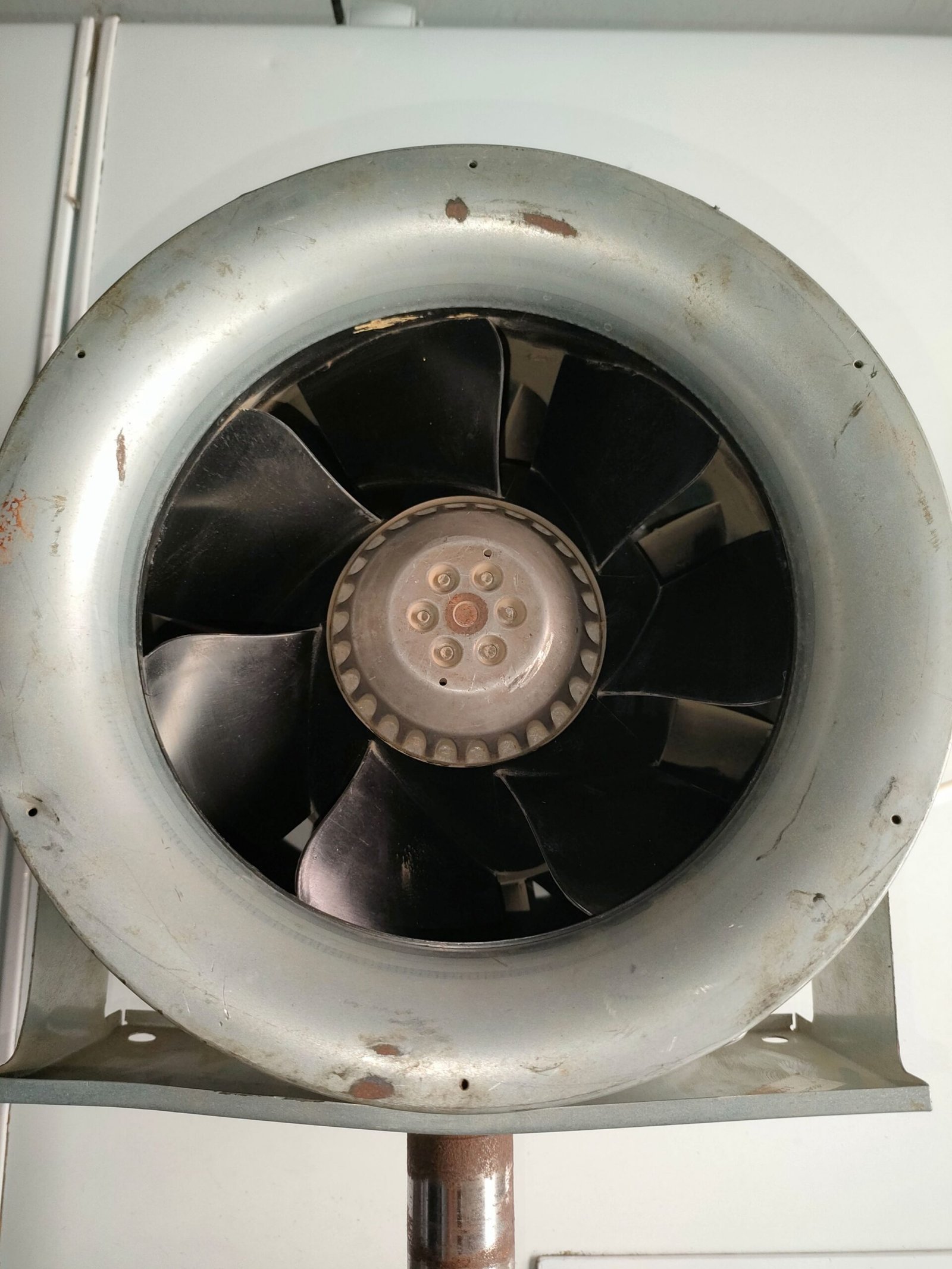 Imported hight speed blower