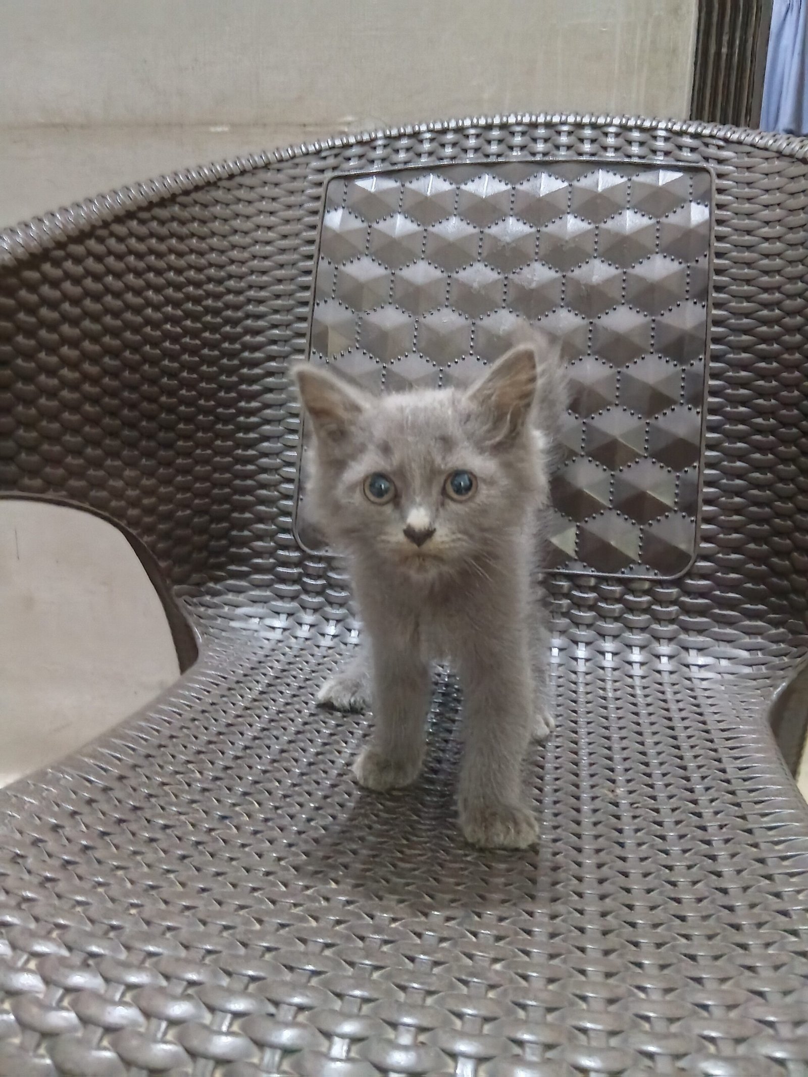 Kits