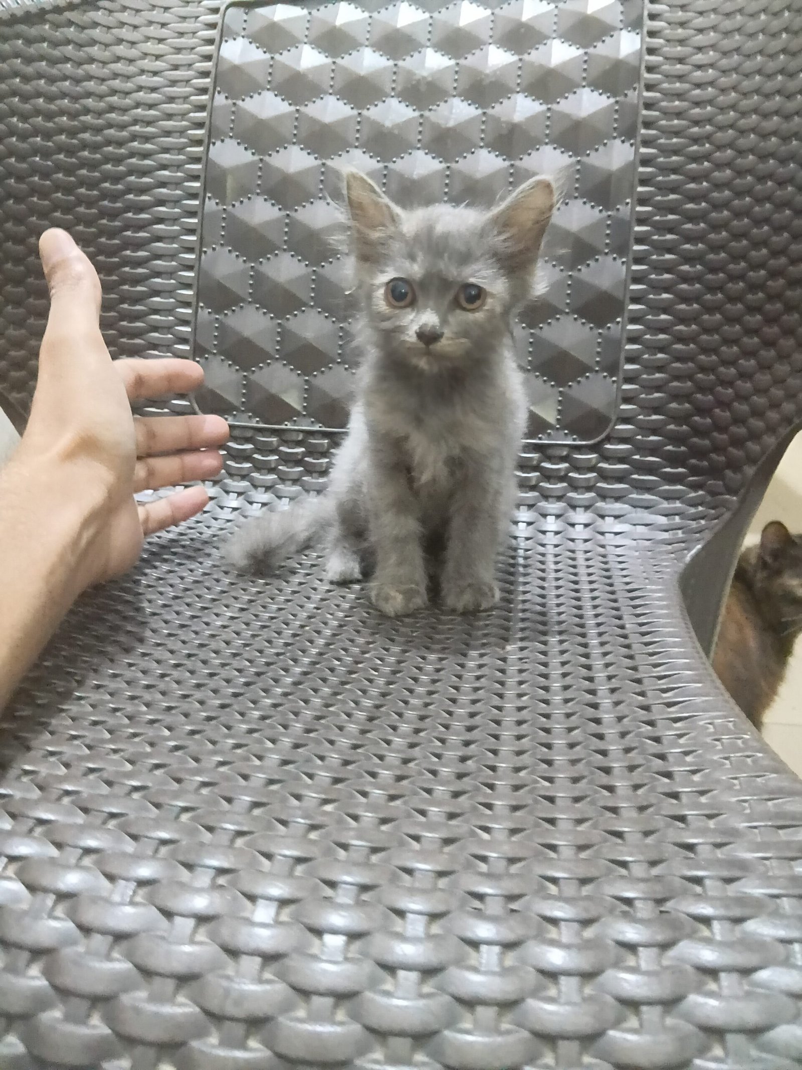 Kits