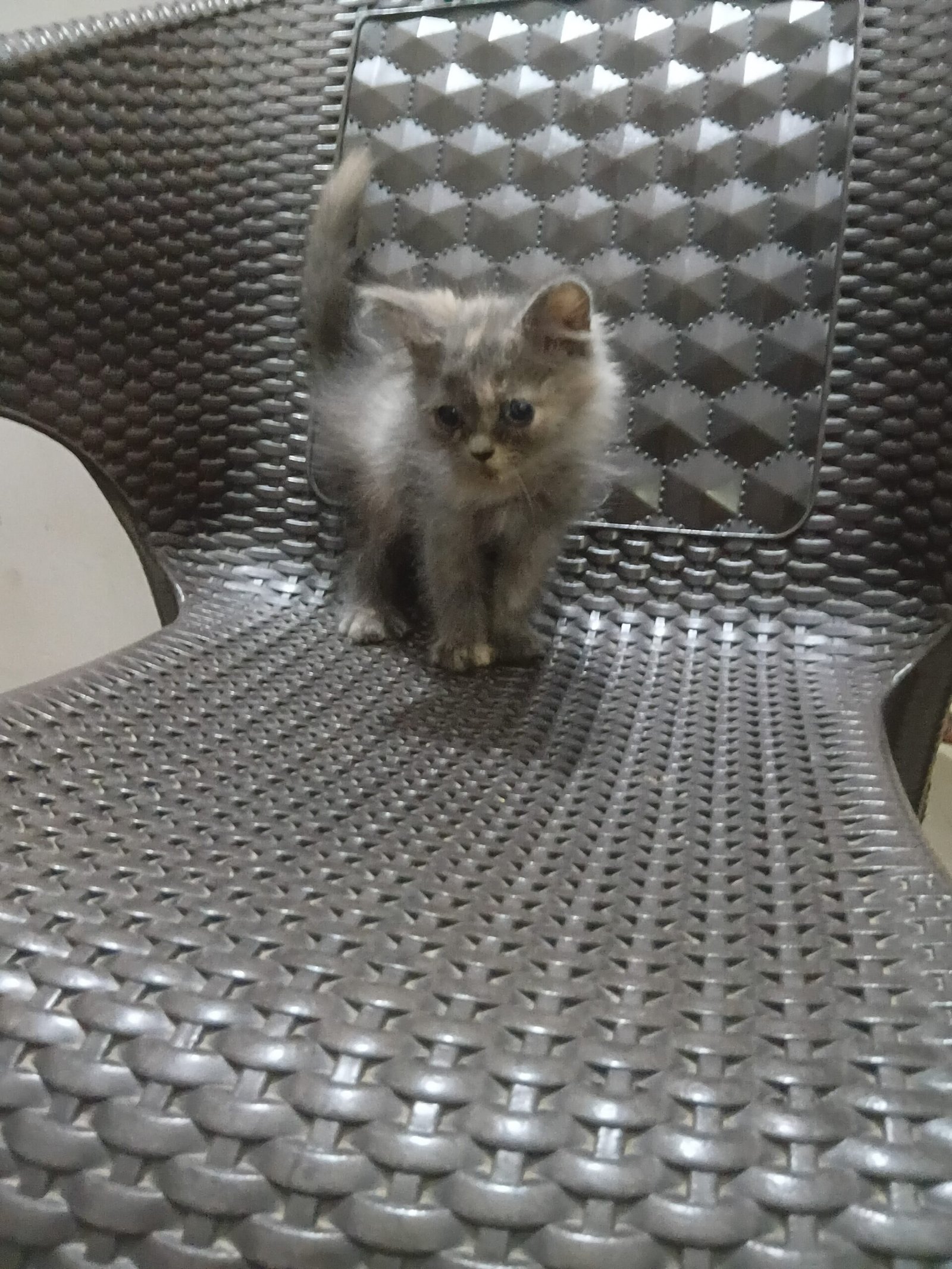 Kits