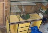 Mobile shop counter for urgent sale