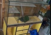 Mobile shop counter for urgent sale