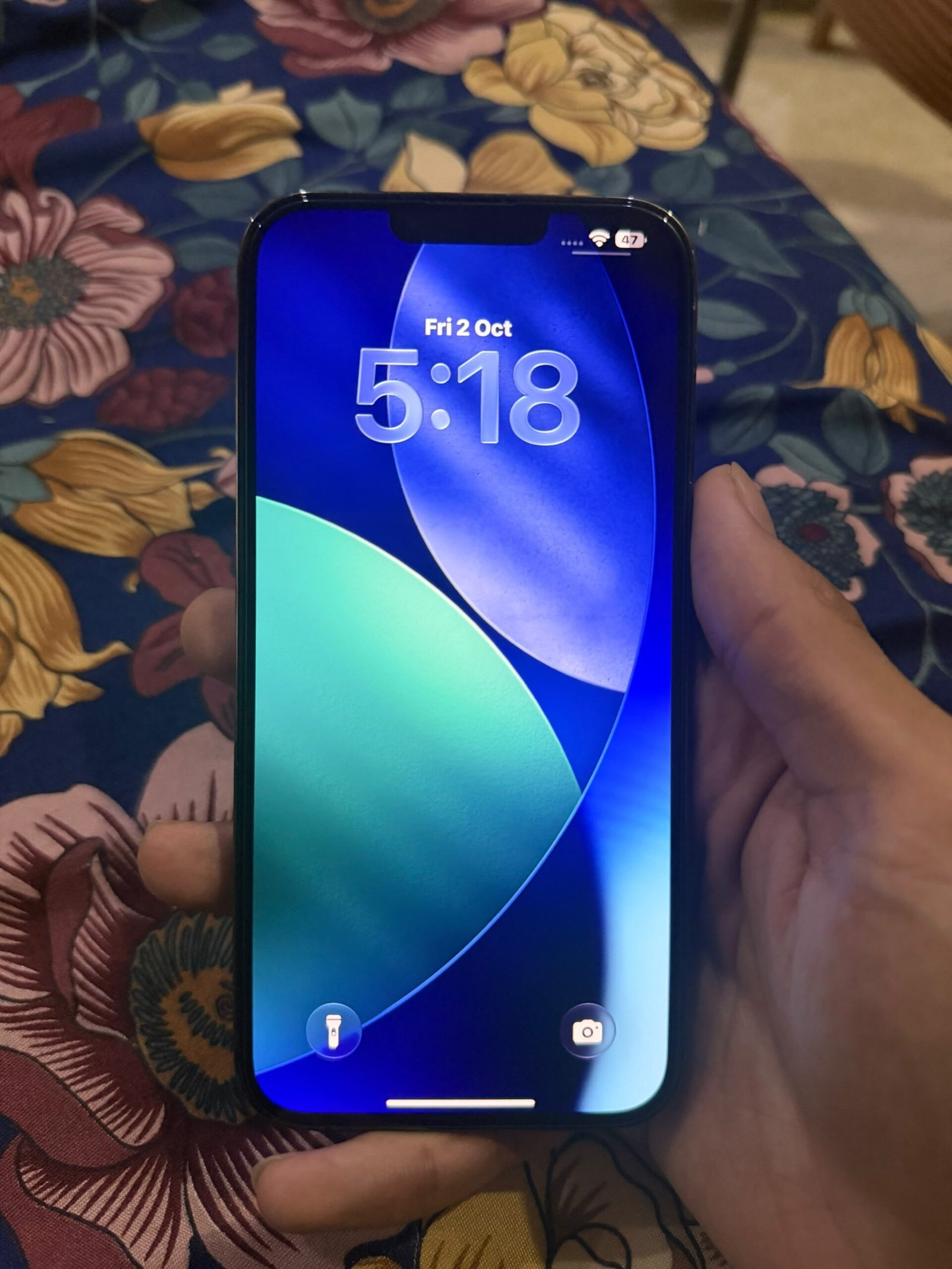 Iphone 13 pro max FU