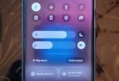 Samsung S22 Ultra Dot Official PTA Dual Sim 12GB/512GB