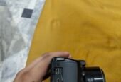 Canon PowerShot SX 500 IS