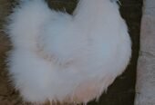Silkie Bread