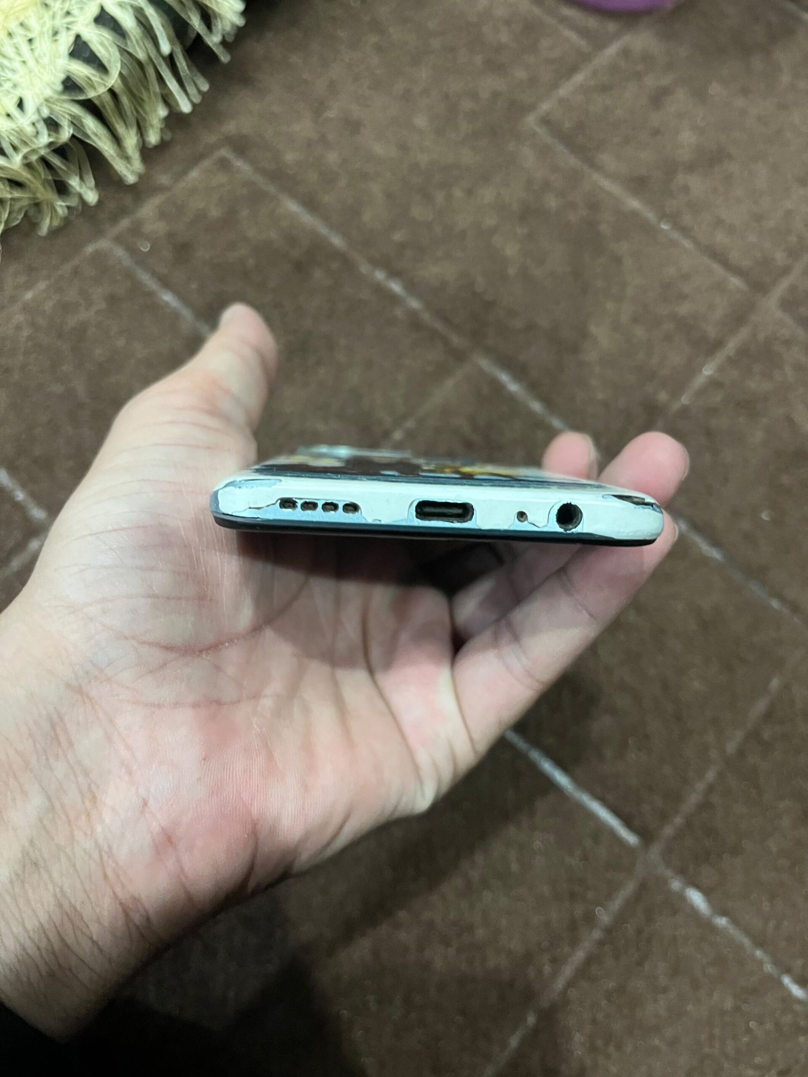 vivo y55