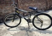 My phoenix Cycle 27 inch urgently sale karni ha