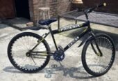 My phoenix Cycle 27 inch urgently sale karni ha