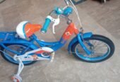 Children Cycle