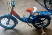Children Cycle