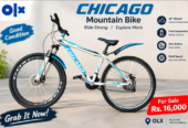 Chicago bicycle for sale