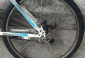 Chicago bicycle for sale
