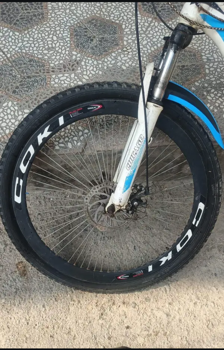 Chicago bicycle for sale