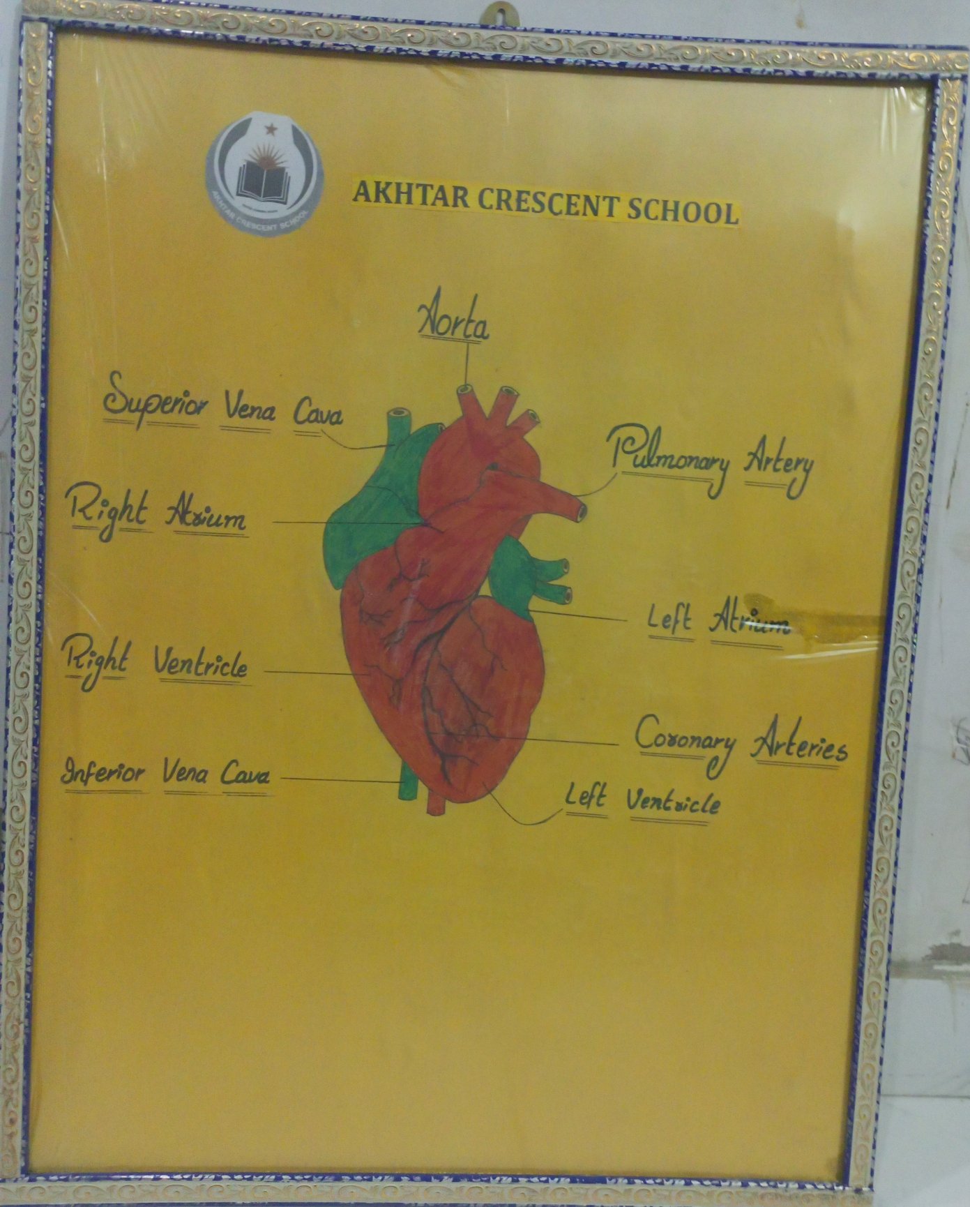 Hand made painting for school