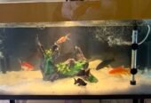 Fish Aquarium 3×1.5git height with stand new