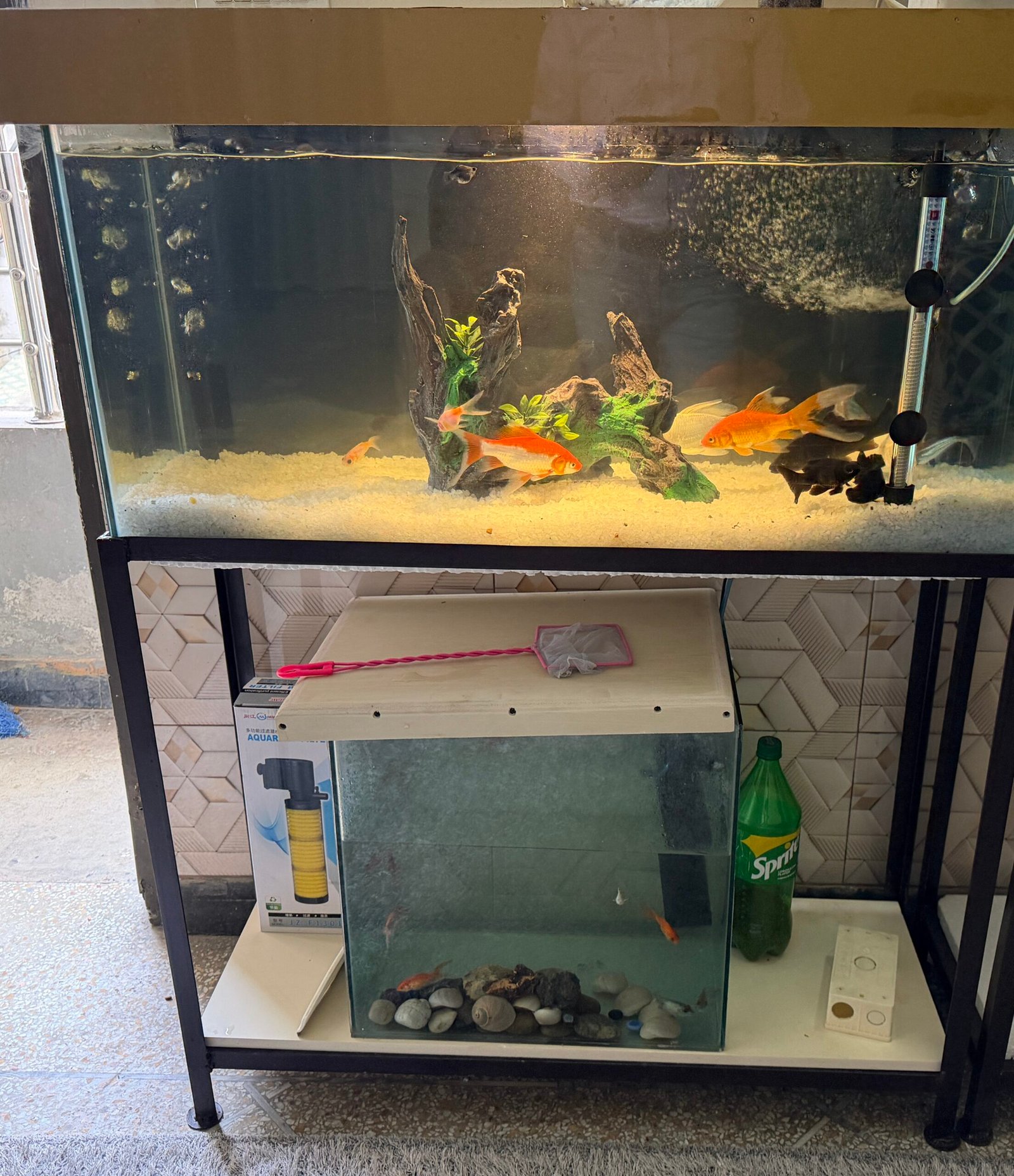Fish Aquarium 3×1.5git height with stand new