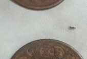 Antique Old Coins
