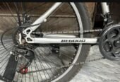 BEGOOD Bicycle